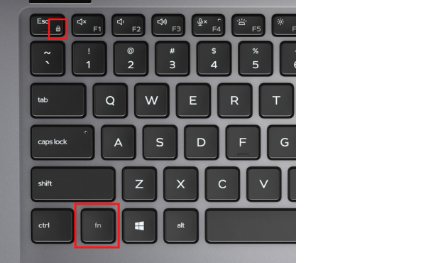 エクセルでF4を押しても固定参照ができないのはなぜですか？