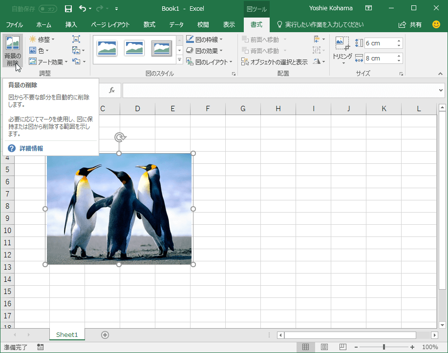 Excelで画像の背景を削除するには？
